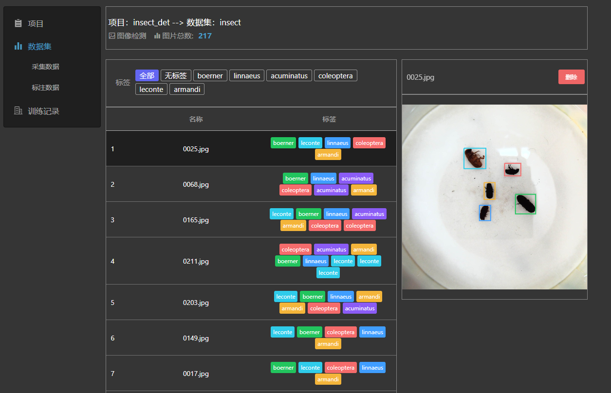 Preview Dataset