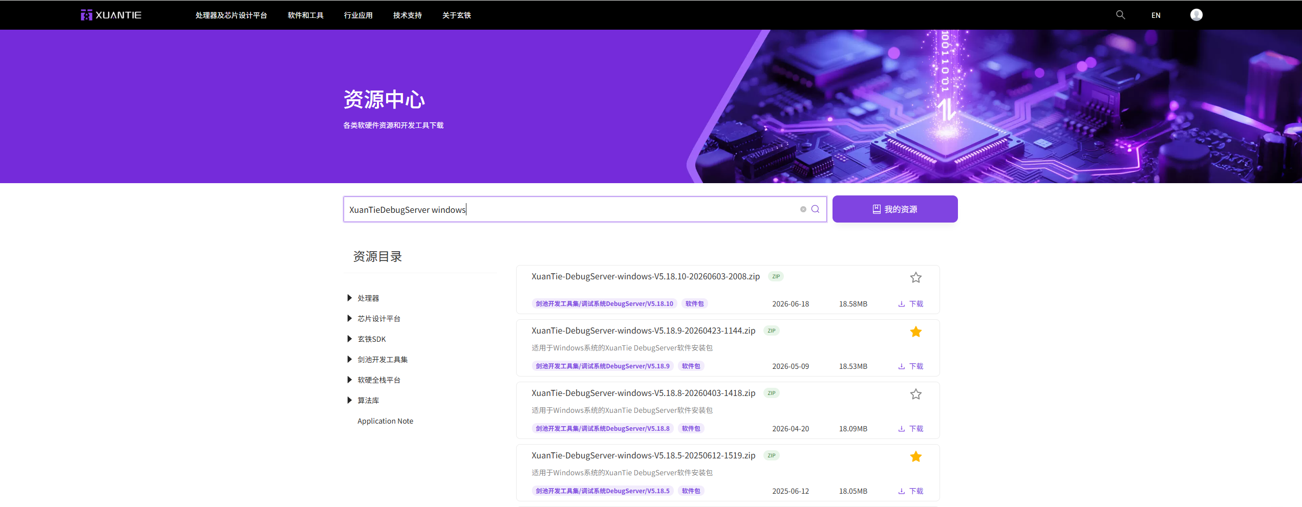 XuanTie DebugServer 下载入口示意图