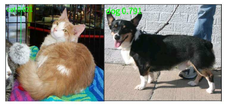 cat_dog_cls_res