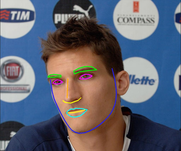 face_landmark