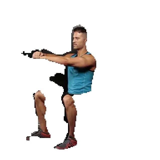 pphumanseg