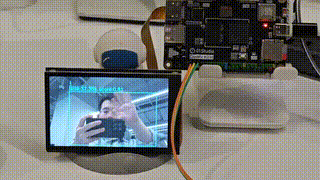 multi_object_tracking