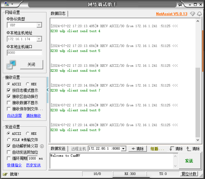 ../../../_images/image-20240722172037608.png